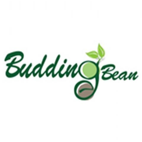 Budding Bean English Vietnam