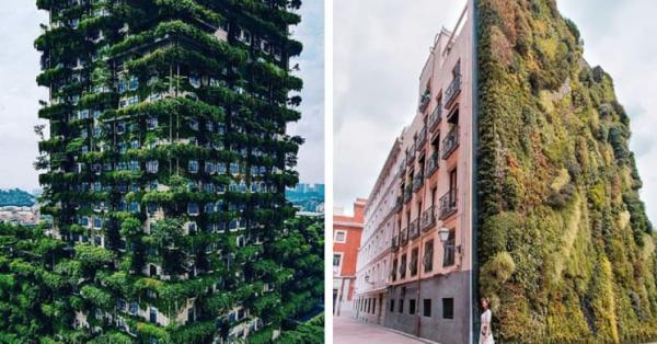 10 công trình biểu tượng Vertical Forest - Rừng thẳng đứng trên thế giới